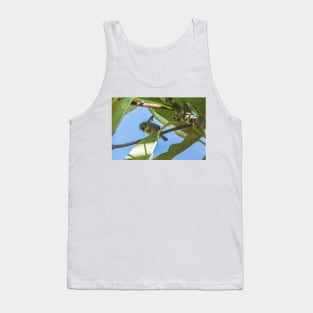 Japanese white-eye Honolulu Tank Top